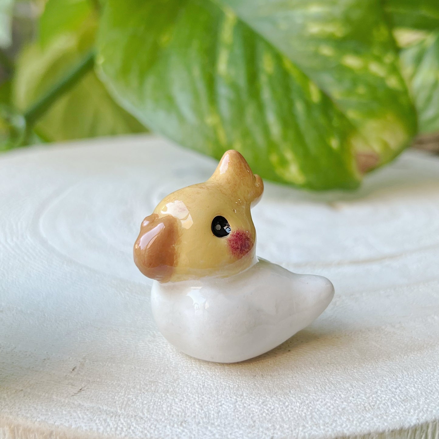 Mini calopsitte