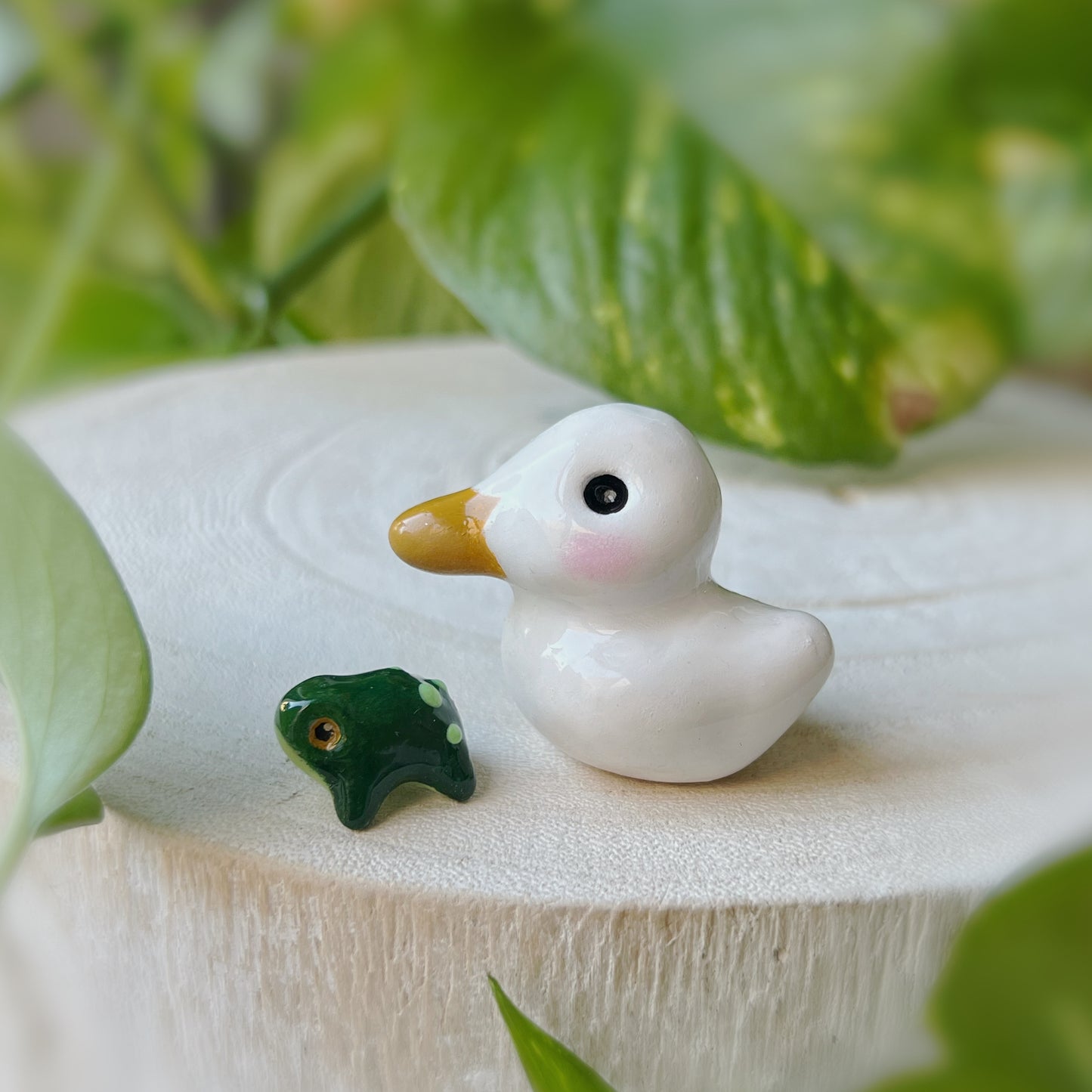 Mini Canard grenouille 🐸
