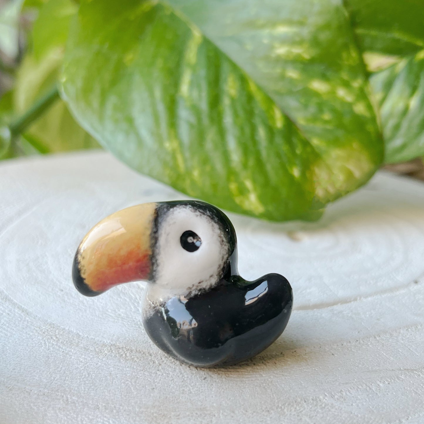 Mini Tucan