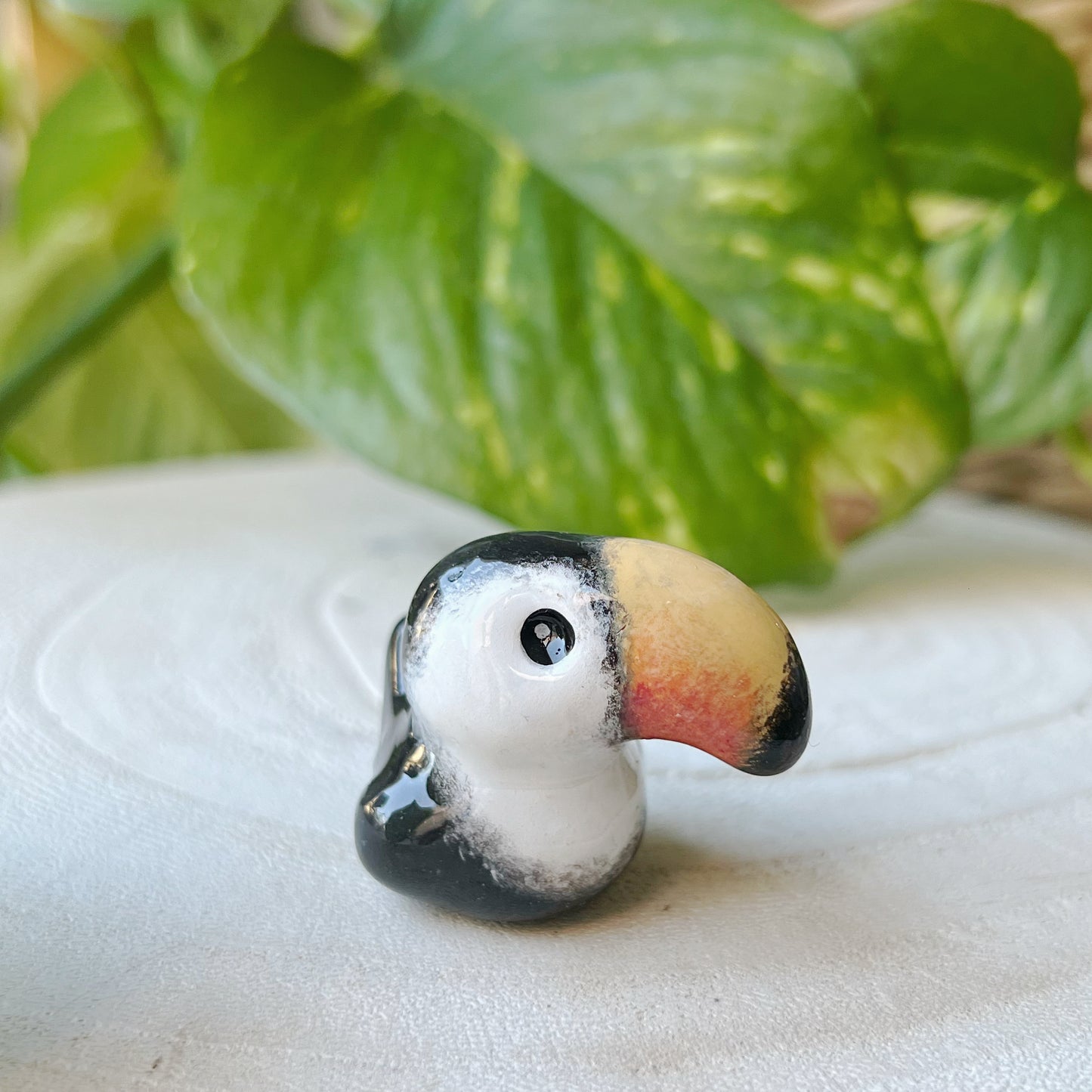 Mini Tucan