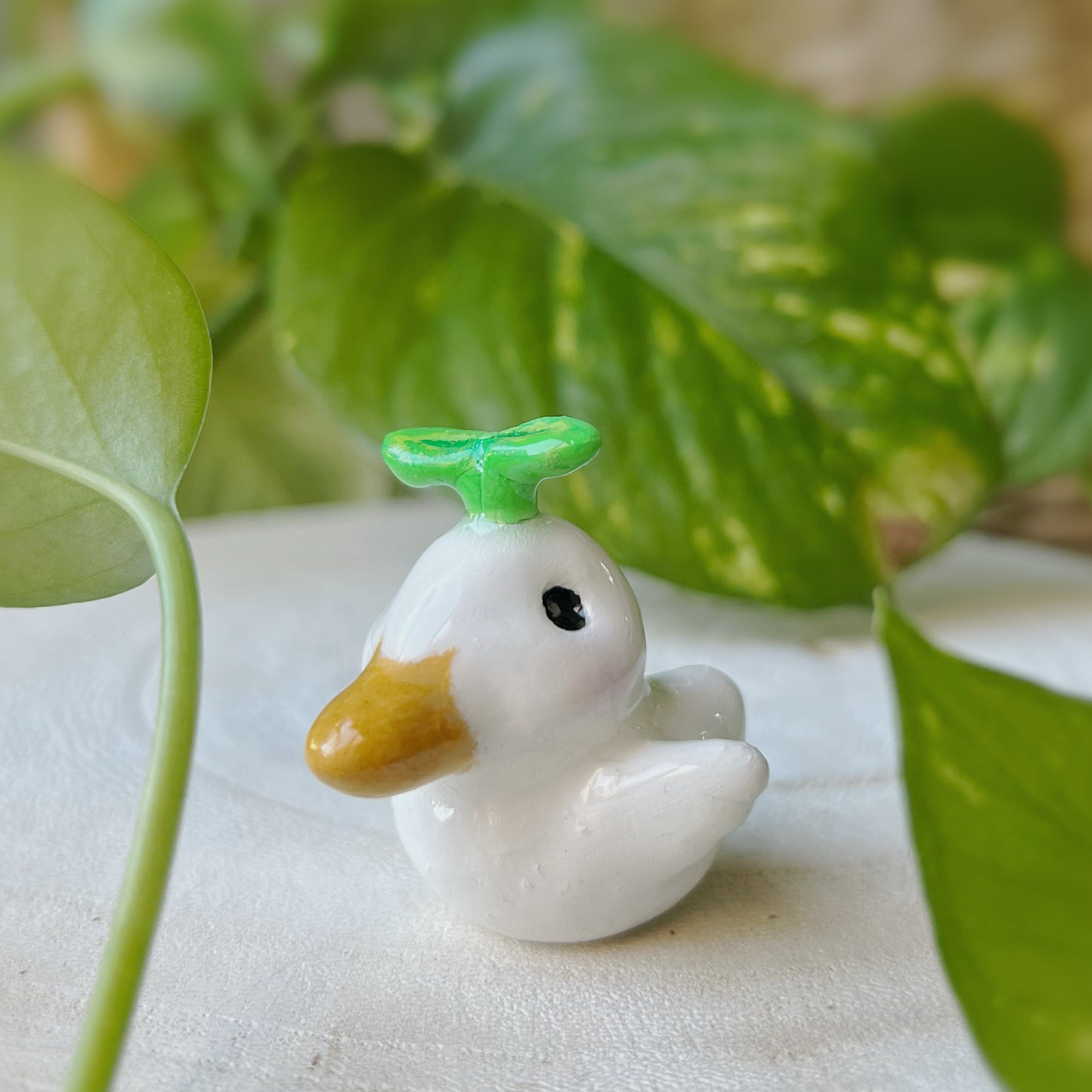 Mini Canard et sa jeune pousse 🌱