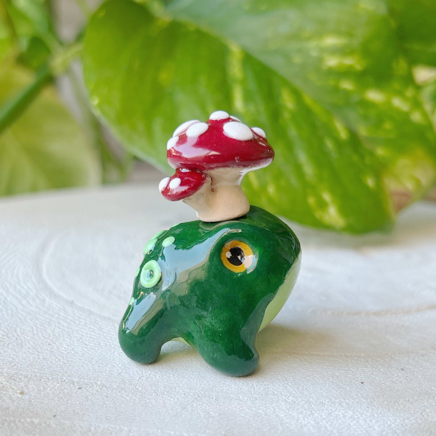 Mini Grenouille et son Champi 🍄